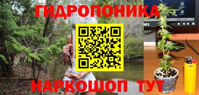 трава Гусев