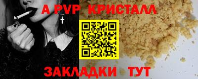 стаф Донской
