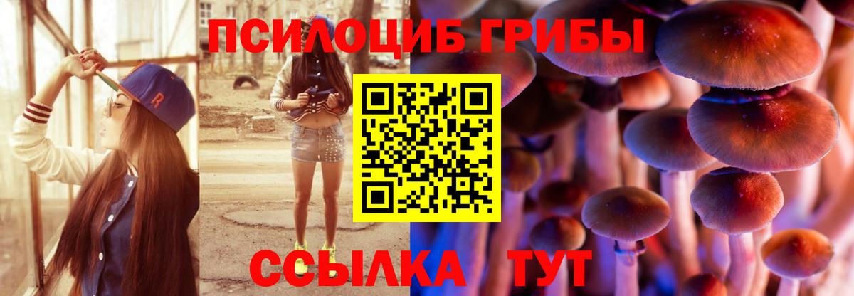 Муравленко  Псилоцибиновые грибы Psilocybe  Вход с VPN  Псилоцибиновые грибы ЛСД 